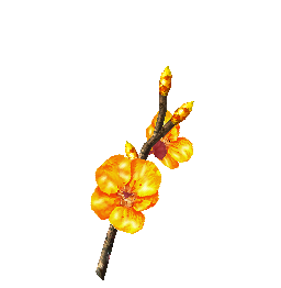 黄色樱花树枝