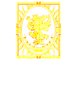 梦幻骑士角色卡片